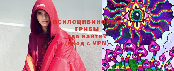 ешки Козловка