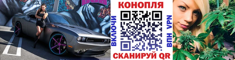 Купить закладки  Белорецк  Конопля сатива 